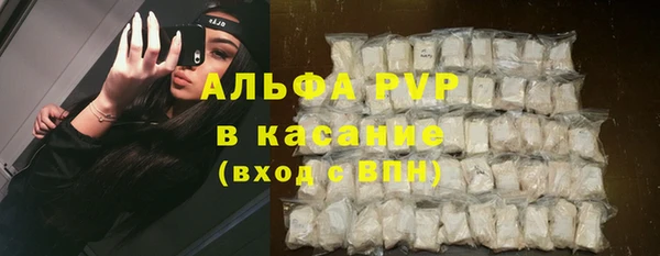 амф Вяземский