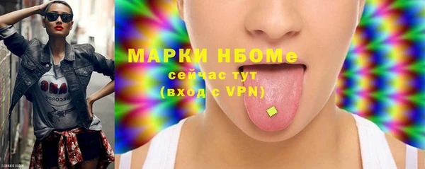 хмурый Горняк