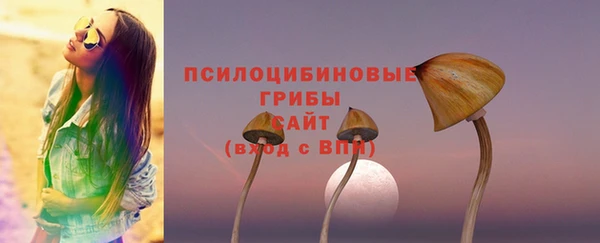 амф Вяземский