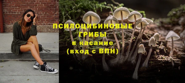 2c-b Усолье-Сибирское
